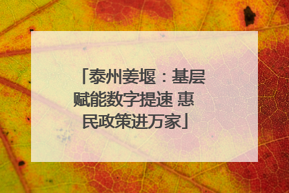 泰州姜堰：基层赋能数字提速 惠民政策进万家